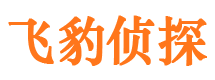 宿松侦探